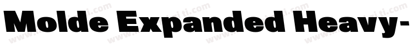 Molde Expanded Heavy字体转换